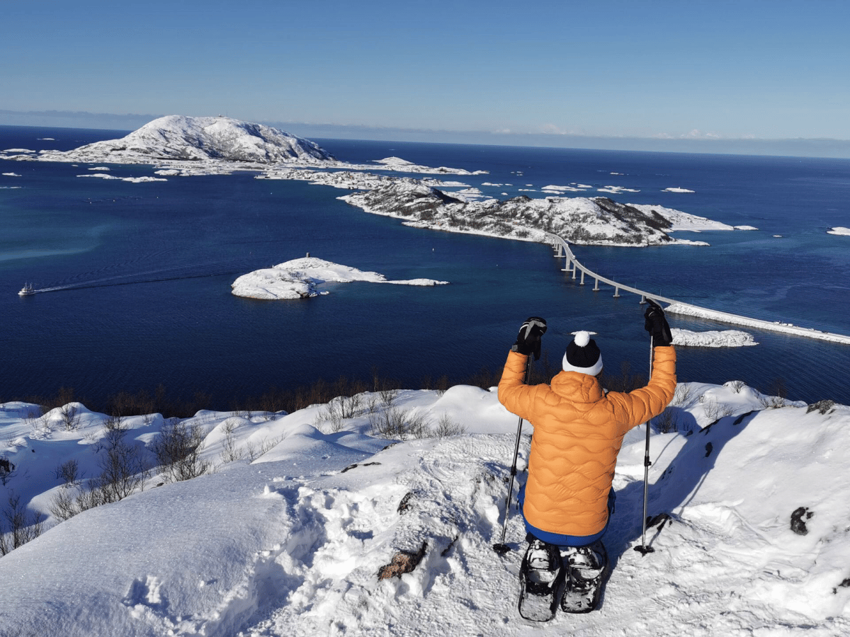 Truger på dagtid på Sommarøy photo 3
