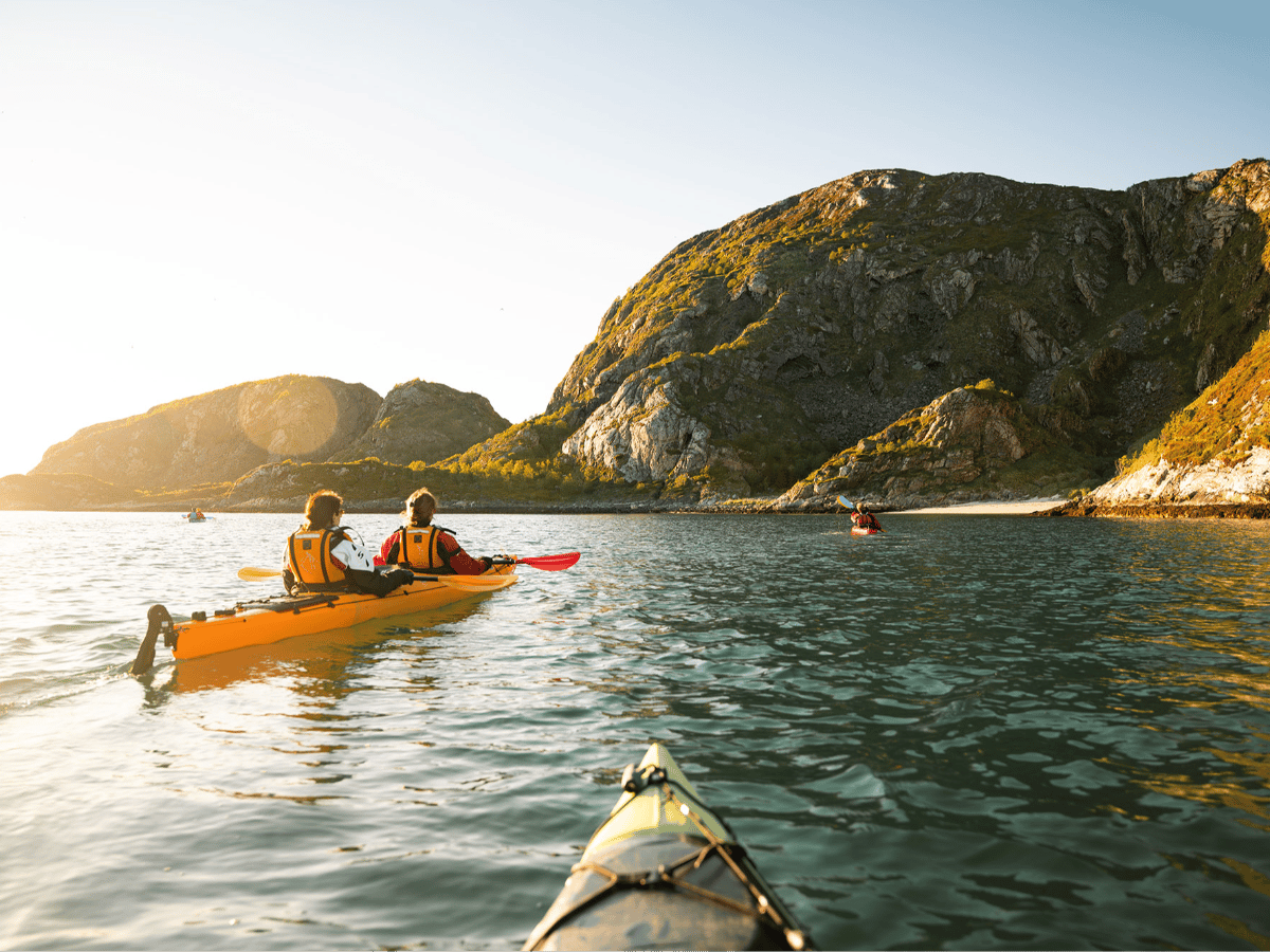 Havkajakk i midnattssol på Sommarøy photo 2