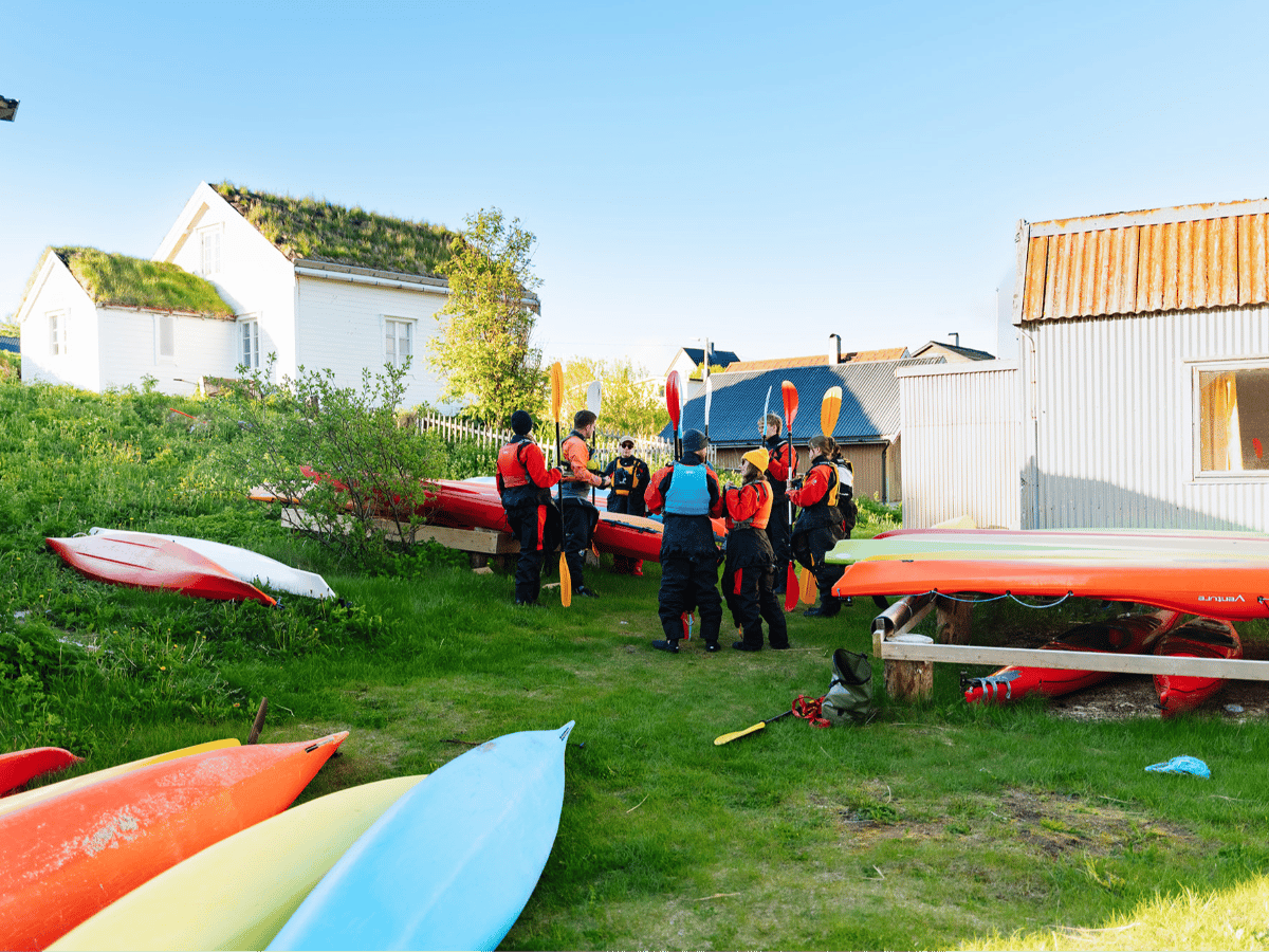 Havkajakk i midnattssol på Sommarøy photo 4