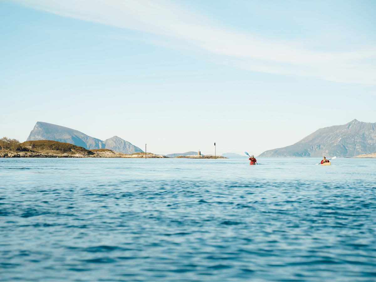 Guidet havkajakktur på morgenen på Sommarøy, inkludert transport fra Tromsø photo 3