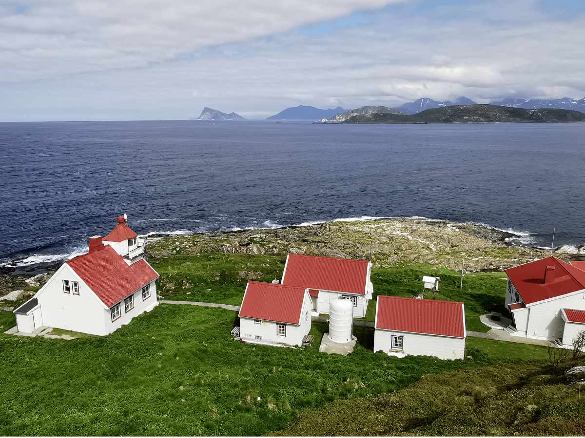 Havørnsafari med båt på Sommarøy photo 3