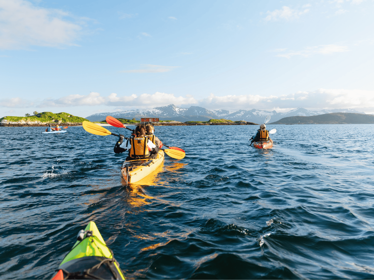 Guidet havkajakktur på morgenen på Sommarøy, inkludert transport fra Tromsø photo 4
