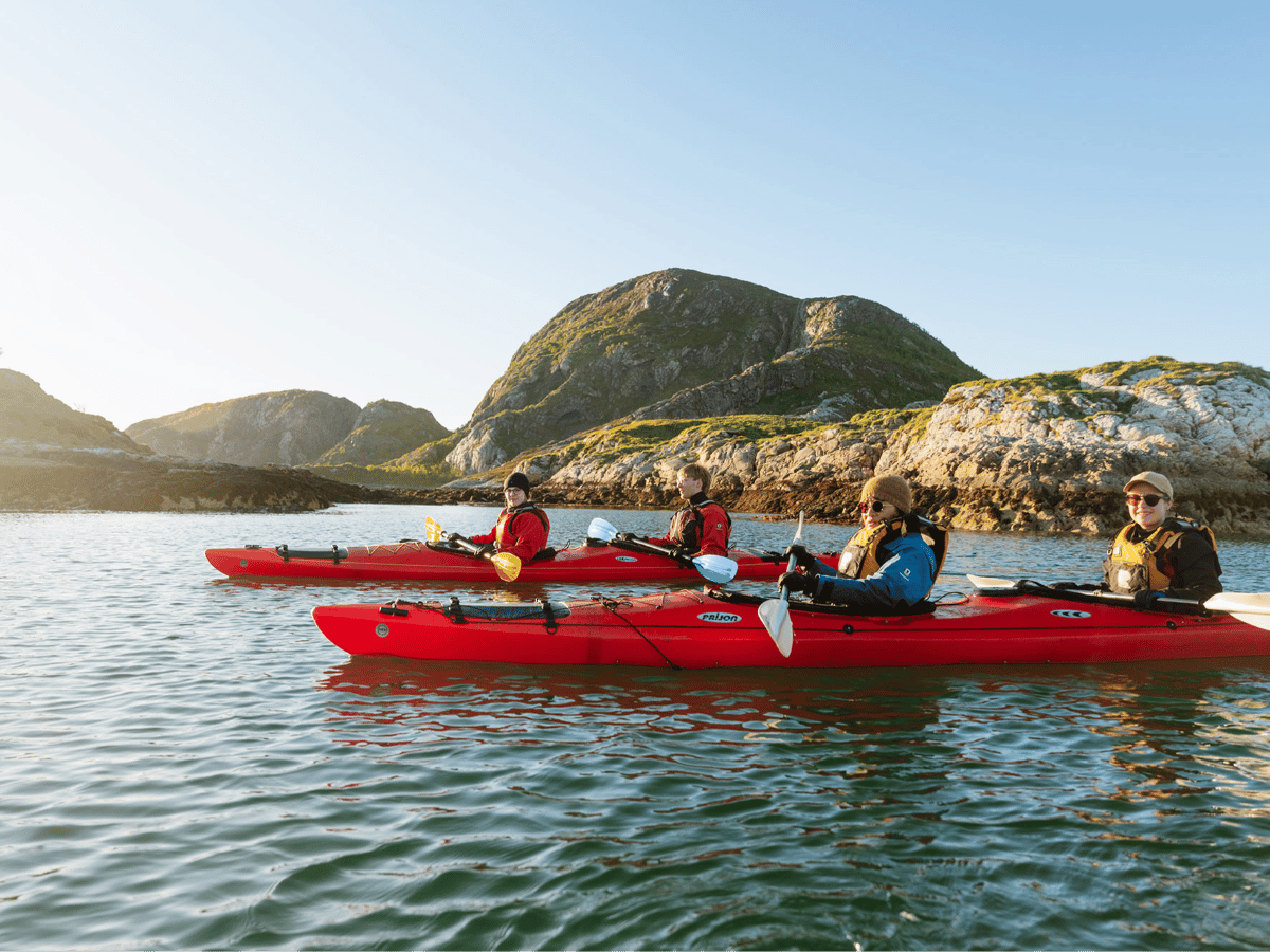 Guidet havkajakktur på morgenen på Sommarøy photo 3